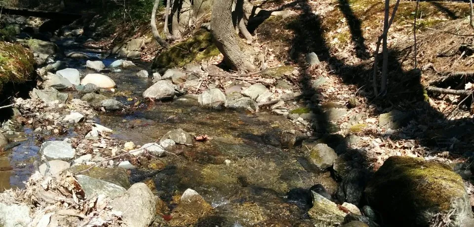 Chalet Le Mont Sutton — extérieur